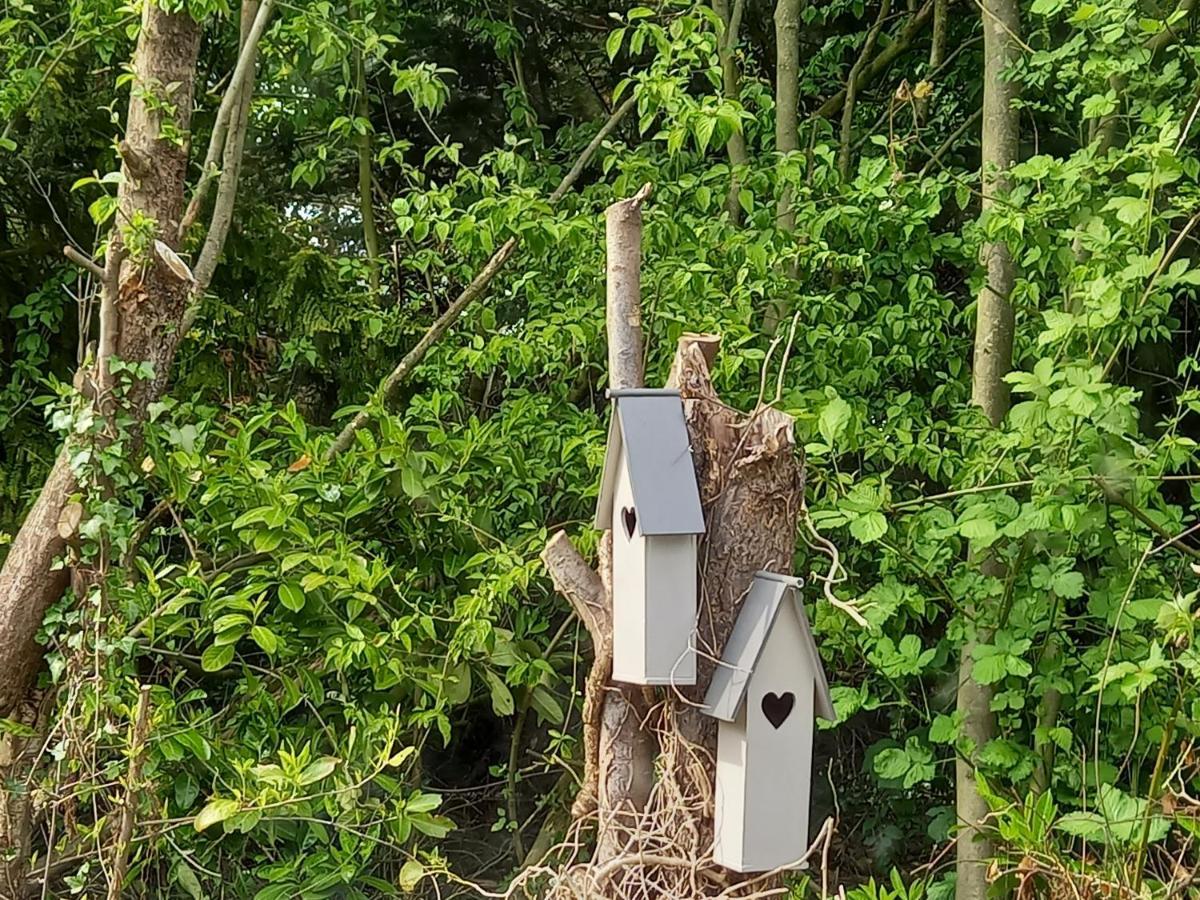 Natuurhuisje Eartswoud Aartswoud Екстериор снимка